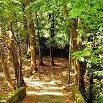 Σπίτι διακοπών Domaine Les Terrasses De L'insolite Port-Sainte-Marie