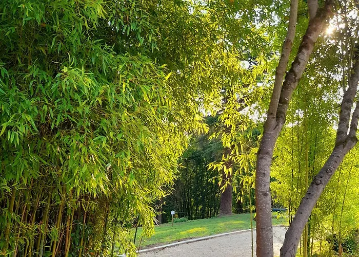 Domaine Les Terrasses De L'insolite Port-Sainte-Marie